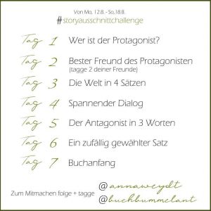 storyausschnittchallenge August 2019 mit #ProjektToKi