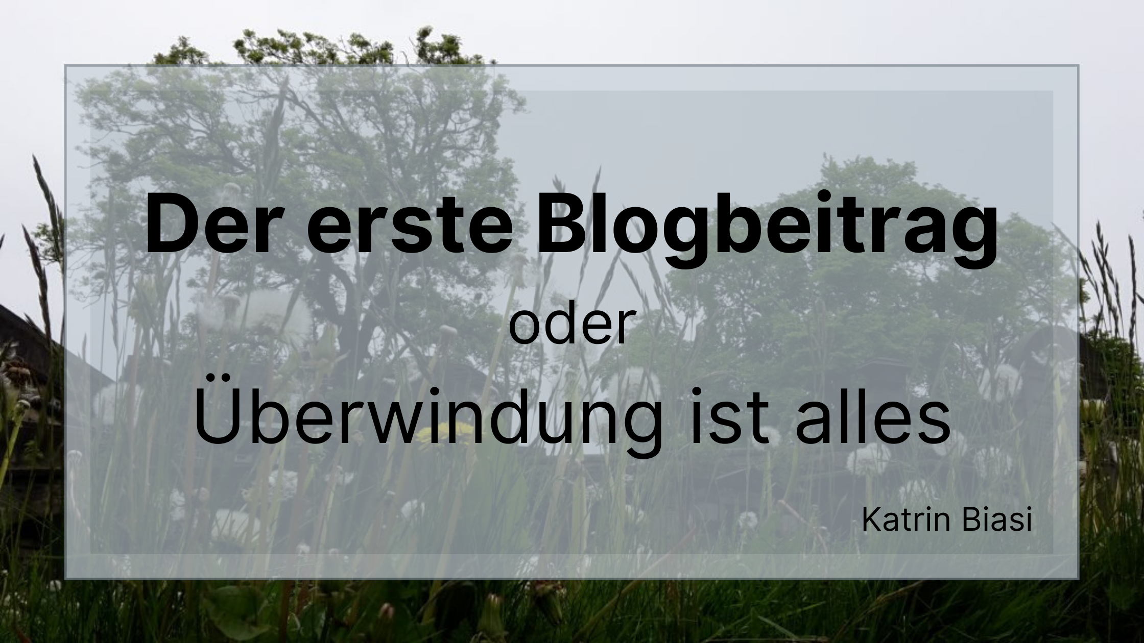 Beitragsbild des ersten Blogbeitrags von Katrin Biasi